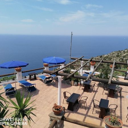 Hotel Punto Azzurro Forio di Ischia Dış mekan fotoğraf