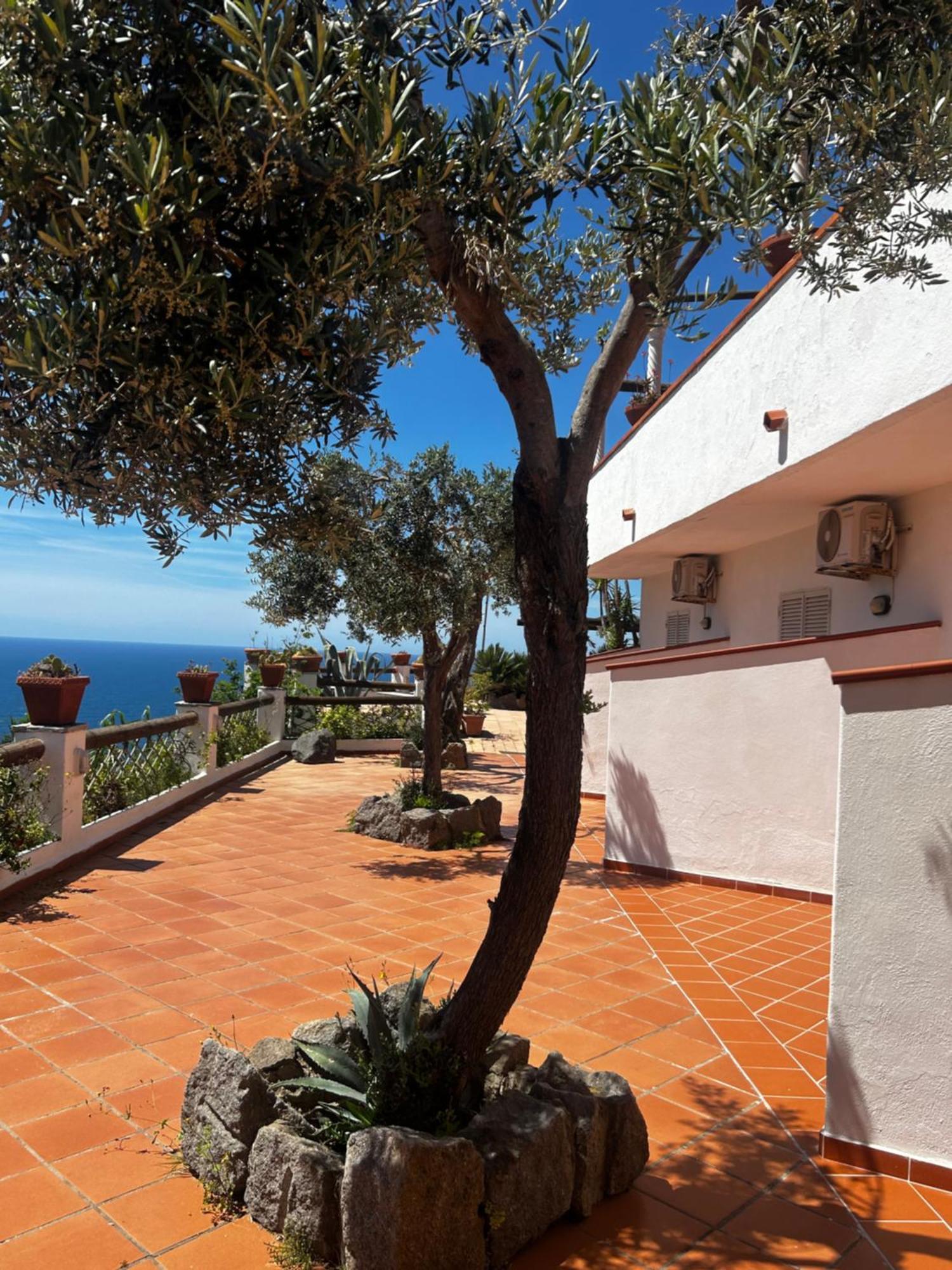 Hotel Punto Azzurro Forio di Ischia Dış mekan fotoğraf