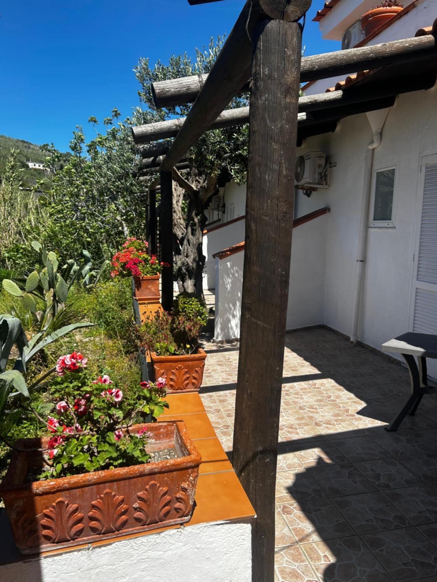 Hotel Punto Azzurro Forio di Ischia Dış mekan fotoğraf