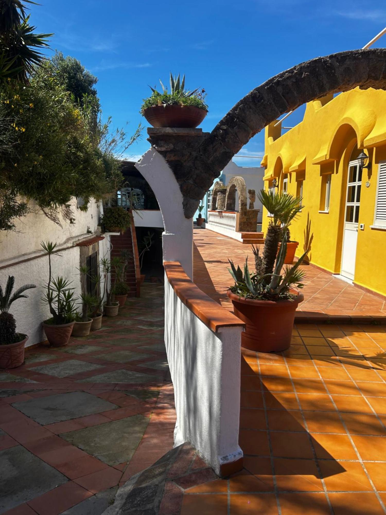 Hotel Punto Azzurro Forio di Ischia Dış mekan fotoğraf
