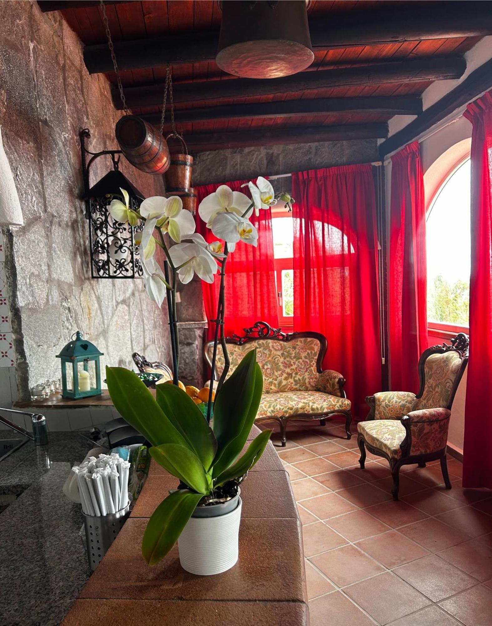 Hotel Punto Azzurro Forio di Ischia Dış mekan fotoğraf