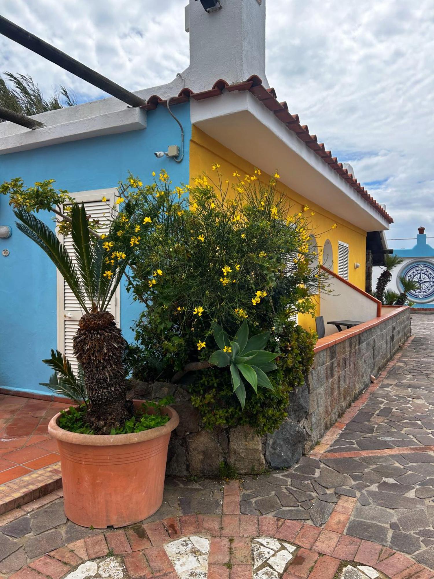 Hotel Punto Azzurro Forio di Ischia Dış mekan fotoğraf