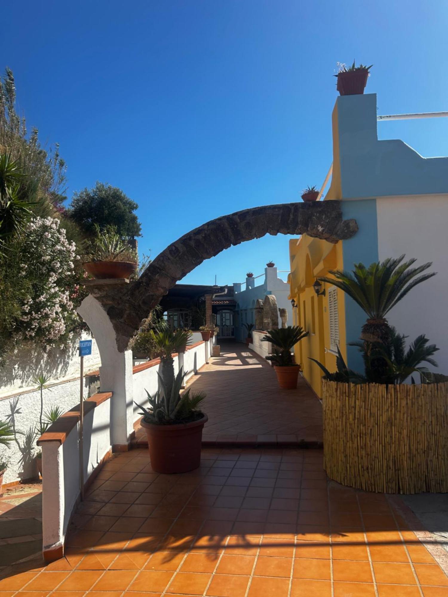Hotel Punto Azzurro Forio di Ischia Dış mekan fotoğraf